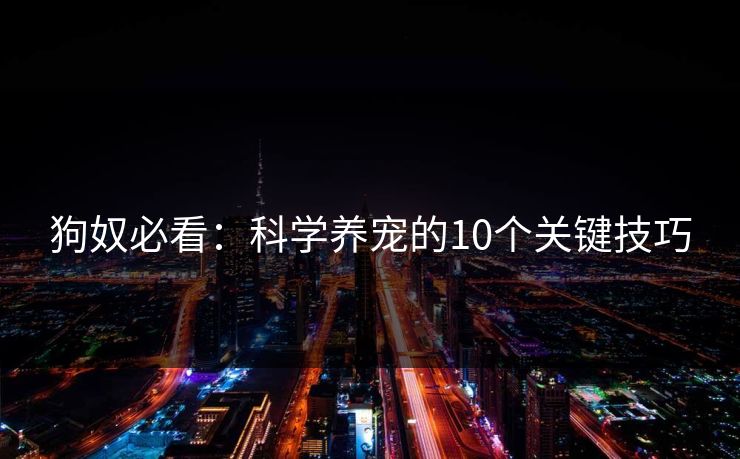 狗奴必看：科学养宠的10个关键技巧