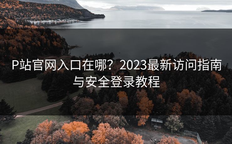 P站官网入口在哪？2023最新访问指南与安全登录教程