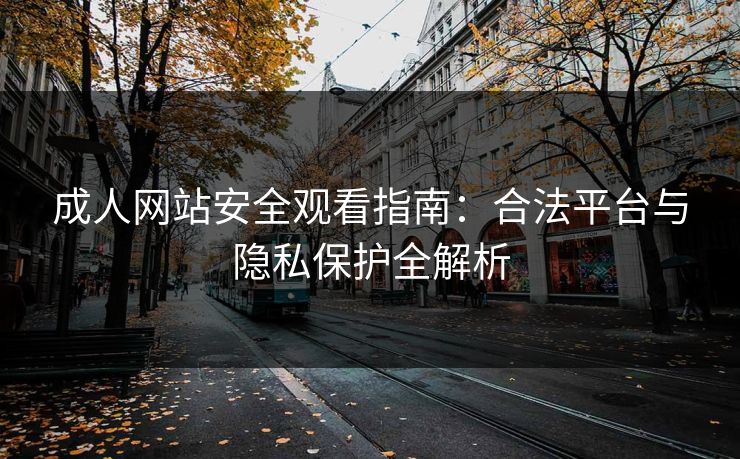 成人网站安全观看指南：合法平台与隐私保护全解析