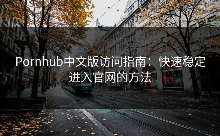 Pornhub中文版访问指南：快速稳定进入官网的方法