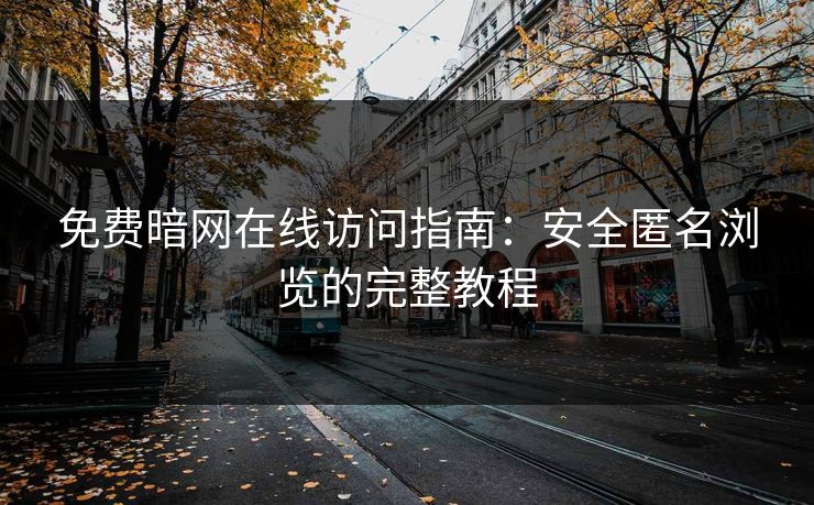 免费暗网在线访问指南：安全匿名浏览的完整教程